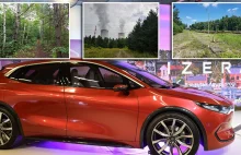 Prezydent podpisał. Polski samochód elektryczny powstanie kosztem wyciętego lasu