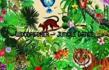 Woodpecker - Jungle Dance