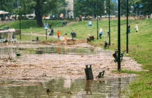 Deszczówka: zbagatelizowany problem polskich miast