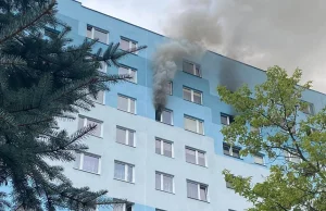 Płonie mieszkanie na Podwisłoczu. Trwa akcja gaśnicza [FOTO, VIDEO