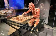 Niezwykła wystawa dotycząca anatomii człowieka zawitała do Wrocławia.