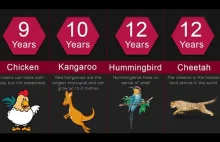Zestawienie długości życia różnych zwierząt