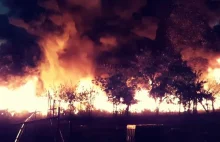 Groźny pożar składowiska opon koło Gorzowa Wielkopolskiego