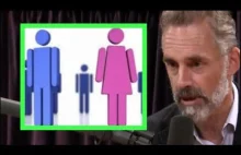 Jordan Peterson Explains the Gender Paradox - Joe Rogan