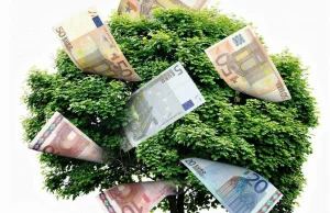 EBC przetestuje odporność kapitału europejskiego sektora bankowego na...