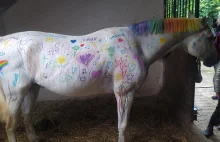 Dzieci malują konia w stadninie.