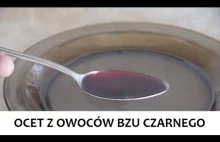 Ocet z owoców Bzu Czarnego (ZŻ 88)