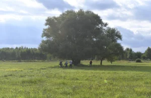 Zuzia i Kinga powiesiły się na wierzbie. Dziewczynki umarły z miłości?