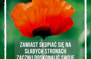 Czy dzieci z edukacji domowej są głupsze?