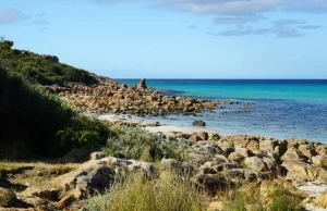 Australia cierpi przez zmiany klimatu. Rolnictwo jest tam poważnie zagrożone