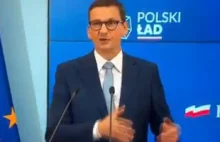 Morawiecki jako prezes WBK dbał o to, aby bank płacił większy podatek niż trzeba