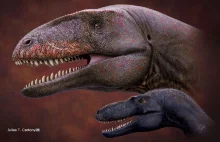 Tyranozaury nie zawsze królowały na Ziemi. Inny dinozaur znajdował się przed...