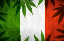 Włochy dekryminalizują uprawę do czterech roślin konopi indyjskich na...