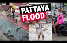 Powódź w Pattaya sprawiła, że ulicami popłynęły ryby