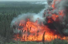 Pożary lasów potęgują dewastację atmosfery Ziemi