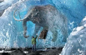 Pierwszy mamut pojawi się w Parku Plejstoceńskim na Syberii już za 6 lat