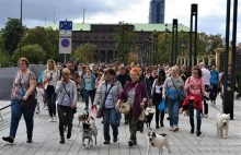 Marsz Milczenia, przejazd rowerowy i parada psów - utrudnienia w ruchu.