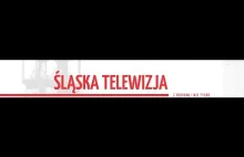 Wywiad ze mną w Śląskiej Telewizji - Habsburgowie, Mormoni, Manipulacje, RPA