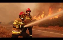 Zdjęcia z Misji Grecja - gaszenie pożarów lasów przez GFFFV Poland