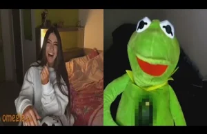 Kermit zagaduje ludzi na Omegle