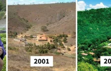 Małżonkowie Salgado odrodzili 600 hektarów lasu