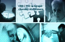 CBD i THC w terapii choroby Alzheimera