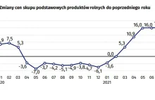 Inflacja żywności. Dwucyfrowe wzrosty cen produktów rolnych