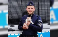 Policjant uratował kotka przed lisami