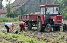 Małe i średnie gospodarstwa będą preferowane w polityce rolnej