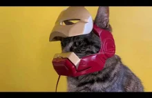 IRONMAN CAT helmet