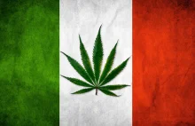 Włochy: Referendum ws. legalizacji marihuany wiosną przyszłego roku?...