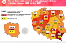 Demograficzne tsunami przeszło przez Polskę. Jego skala przeraża