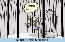 Polska w UE ? « Wolne Media