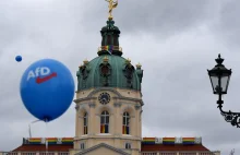 Brunatni nacjonaliści z AfD zostali strollowani w trakcie wyborów.