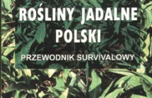 Dzikie polskie rosliny jadalne