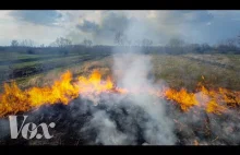 Dekady powstrzymywania pożarów lasów sprawiły że są one jeszcze gorsze