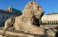 Tragiczny stan lwów spod Pałacu Prezydenckiego, mimo niedawnej drogiej renowacji