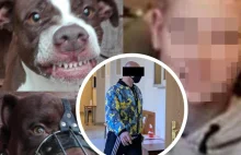 Pitbull zagryzł chłopca na śmierć. Oskarżony tak płakał, że przerwano...