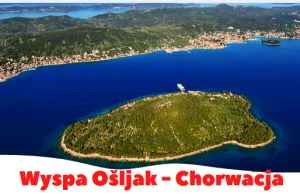 Ošljak - idealna wyspa Chorwacji na odpoczynek od tłumów