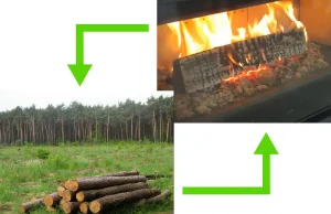 Emisja CO2 ze spalania drewna może być zerowa. Jak to możliwe?