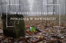 Jak nie zgubić się w lesie? Jak słupki oddziałowe pomagają w nawigowaniu?