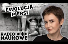 Piersi powstały, by kusić mężczyzn? O ewolucji biustu samic Homo sapiens