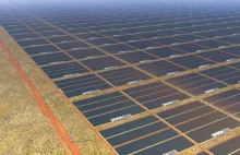 W Australii powstanie gigantyczna farma solarna. Będzie 10 razy większa od...