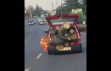 Transport drzewa Cinquecento