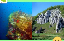 Czy skały Jury Polskiej to dawne rafy koralowe?