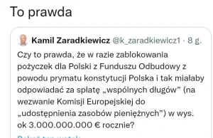 W razie zablokowania pożyczek, Polska i tak ma odpowiadać za ich spłatę.