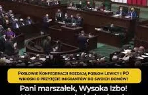 Konfederacja rozdaje posłom "totalnej opozycji" wnioski o przyjęcie imigrantów