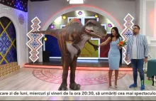 Pewien ciekawy występ w rumuńskiej telewizji
