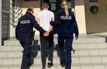 Gdańsk: 18-latek kopał swojego psa. Grozi mu 5 lat więzienia