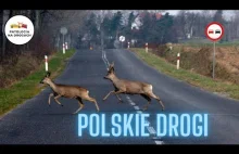 Polskie drogi - Cyrk na naszych drogach